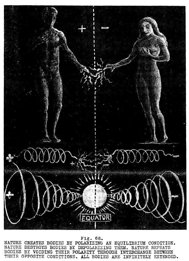 Man woman polarization